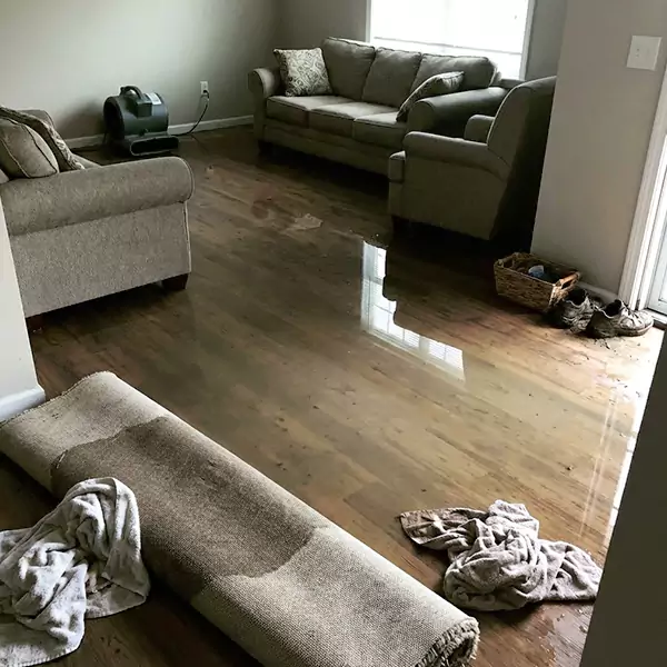 Flood Restoration in Plantation, FL