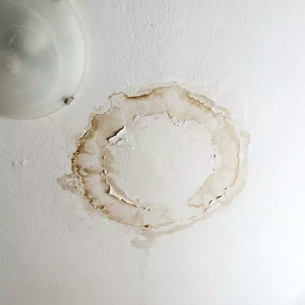 Leaking Ceiling Repair in Plantation, FL 