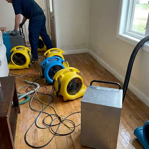 Water Mitigation Services in Plantation, FL