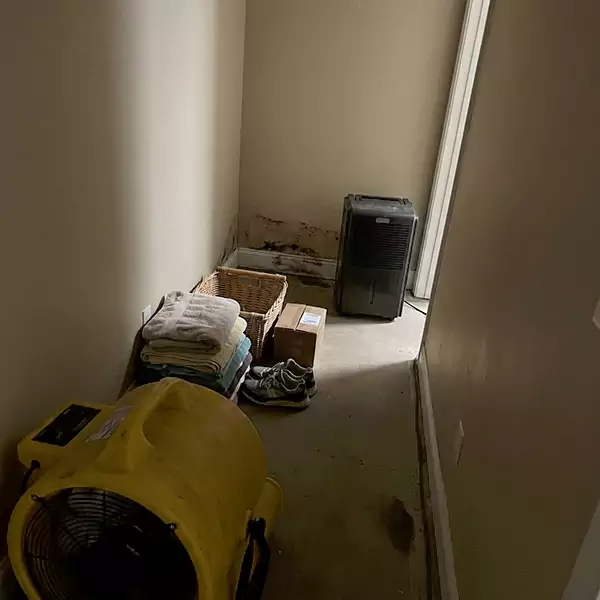 Expert Water Remediation in Plantation, FL 