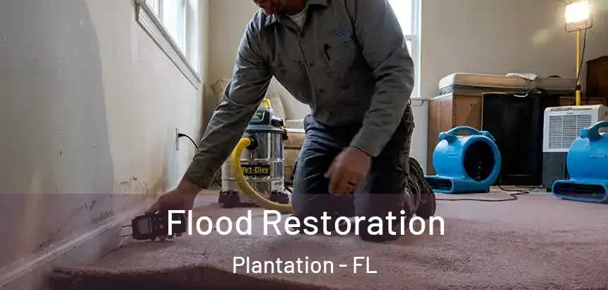  Flood Restoration Plantation - FL