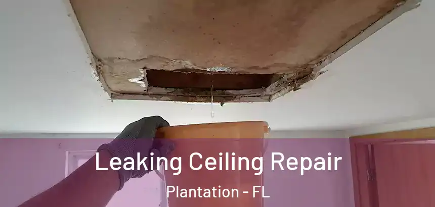  Leaking Ceiling Repair Plantation - FL
