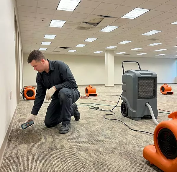 Why Businesses Choose Plantation Water Damage Pro for Commercial Water Damage in Plantation, FL?