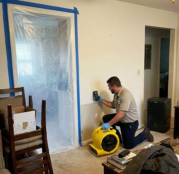 Why Homeowners & Businesses Choose Plantation Water Damage Pro for Water Remediation in Plantation, FL?